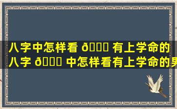 八字中怎样看 💐 有上学命的（八字 🐋 中怎样看有上学命的男孩女孩）